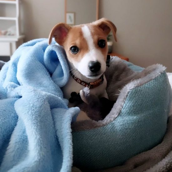 Winston Winston